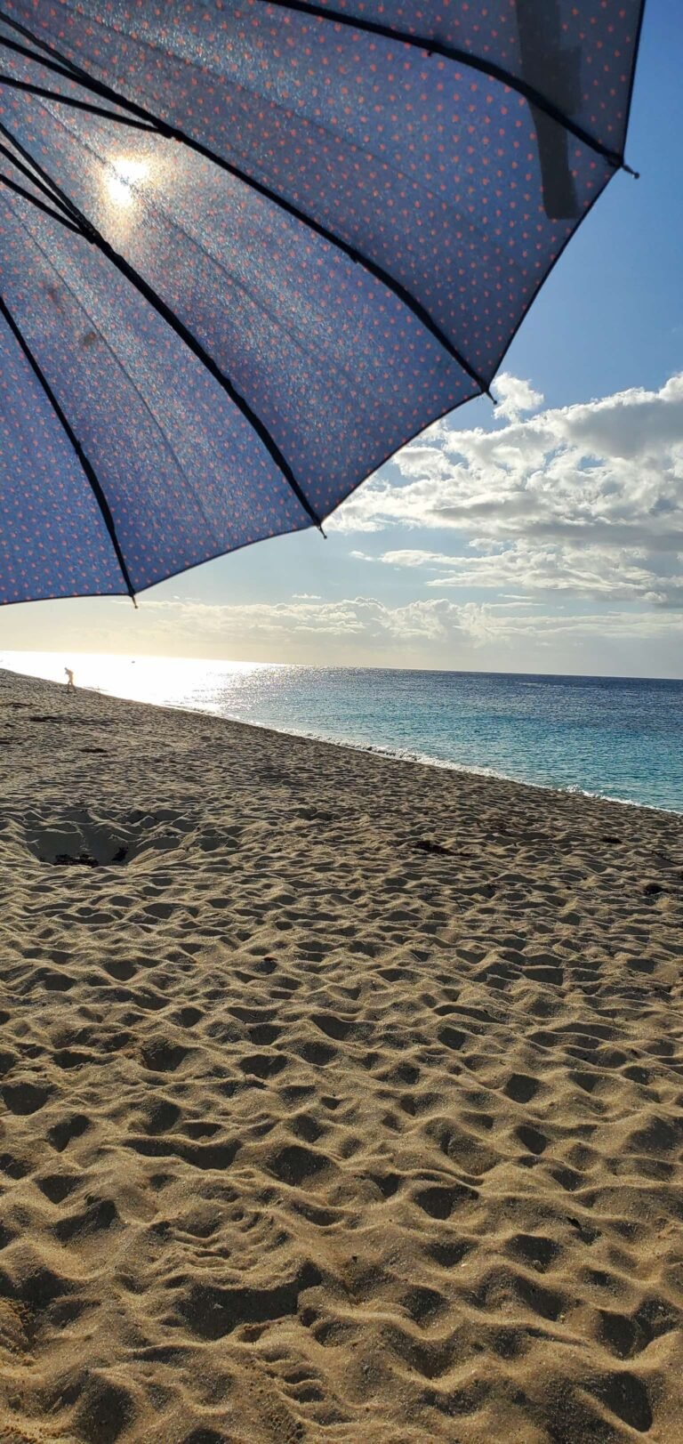 Alan-Michael Hill 10