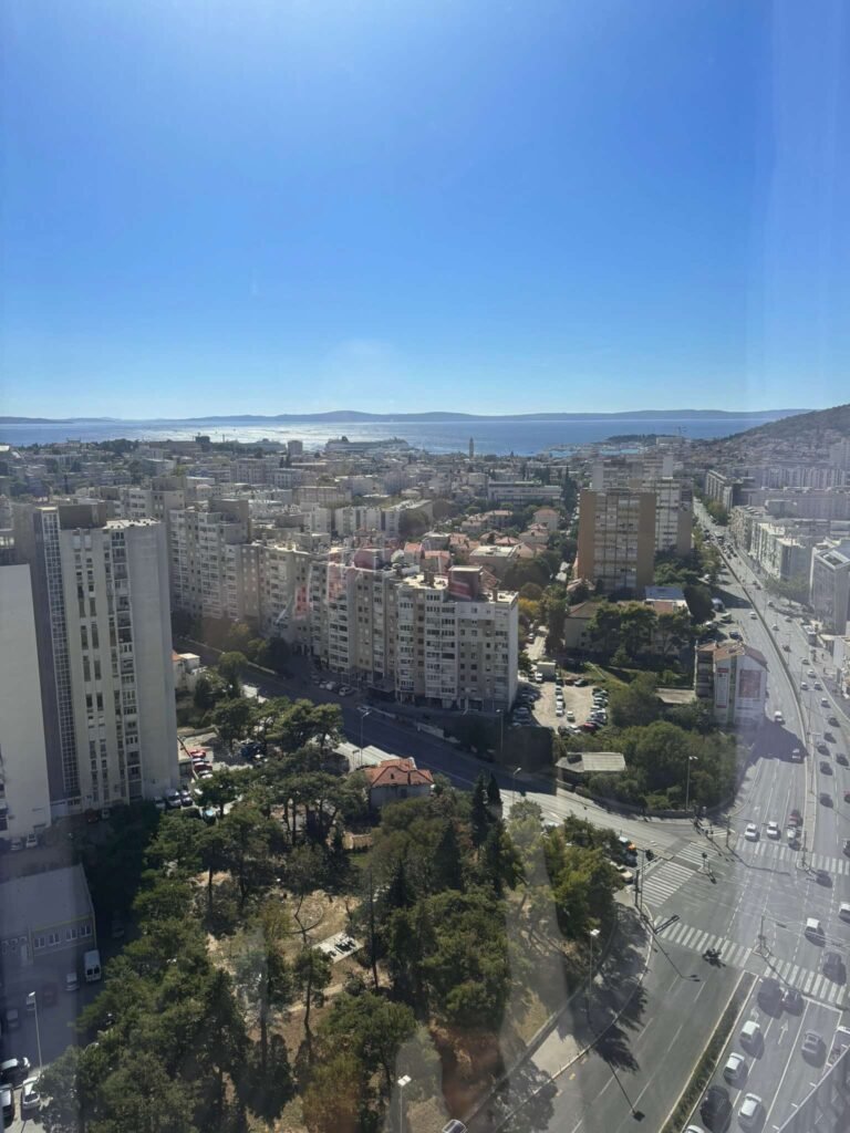 Alan-Michael Hill 101