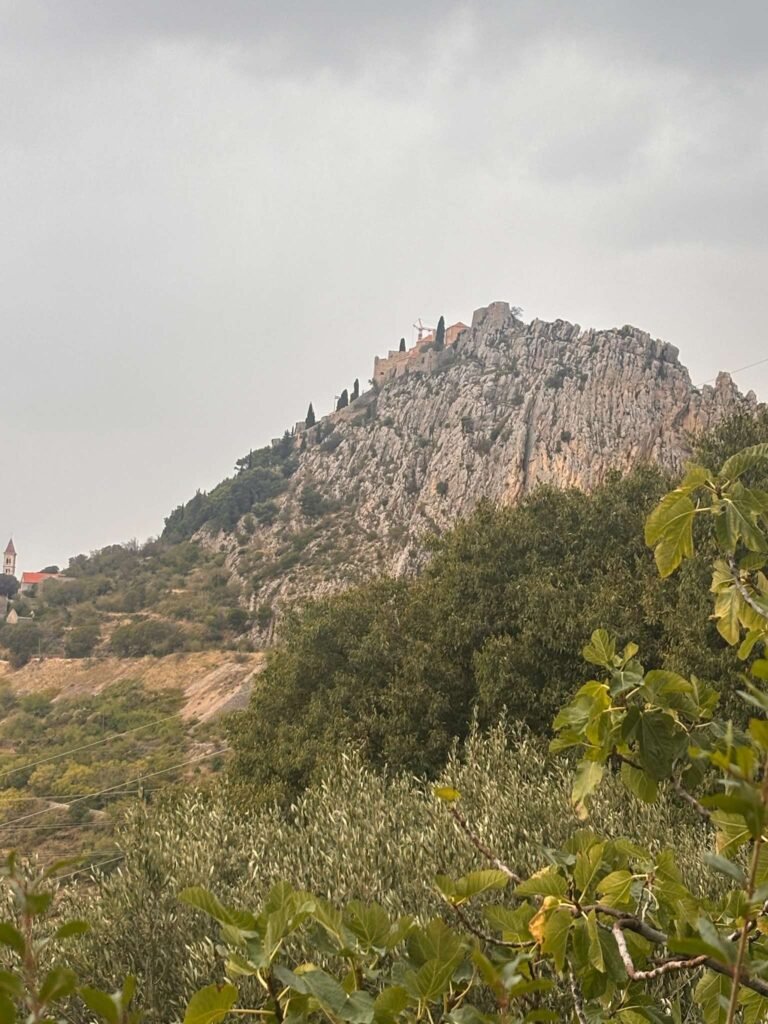 Alan-Michael Hill 108