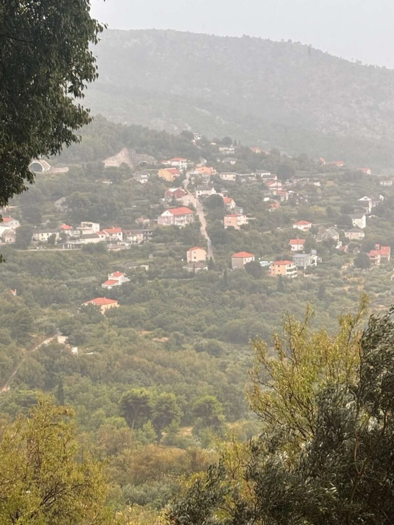 Alan-Michael Hill 109