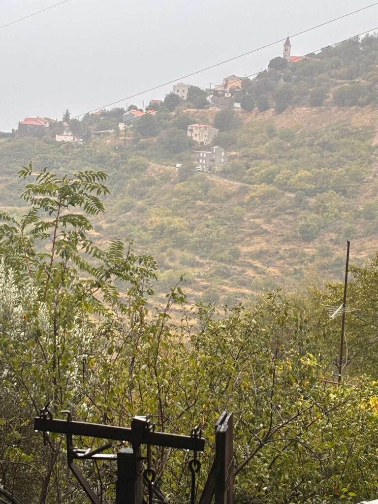 Alan-Michael Hill 110