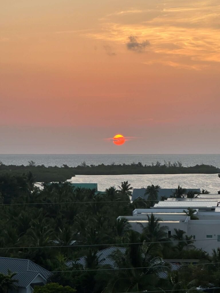 Alan-Michael Hill 119