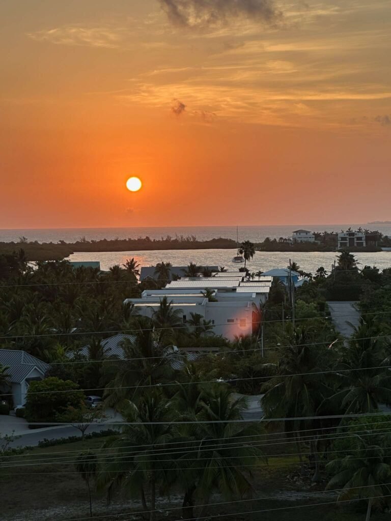 Alan-Michael Hill 120