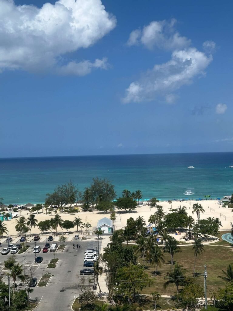 Alan-Michael Hill 123