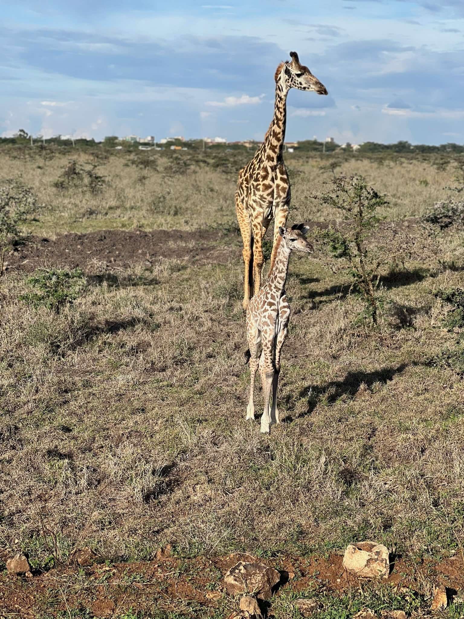 Alan-Michael Hill 15