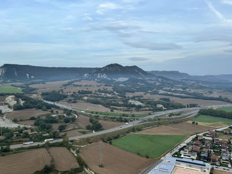 Alan-Michael Hill 43