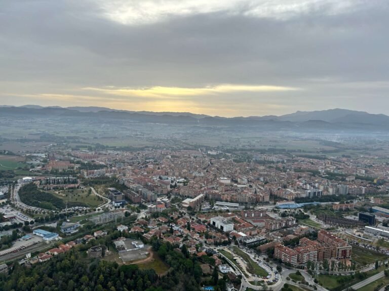 Alan-Michael Hill 44