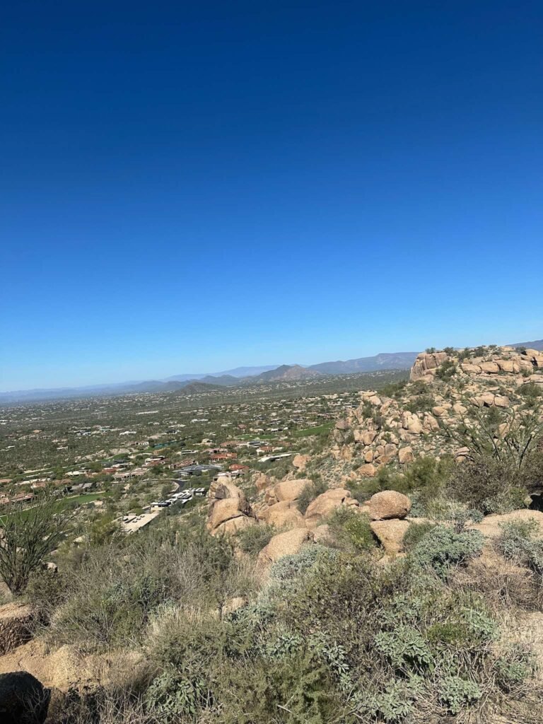 Alan-Michael Hill 47