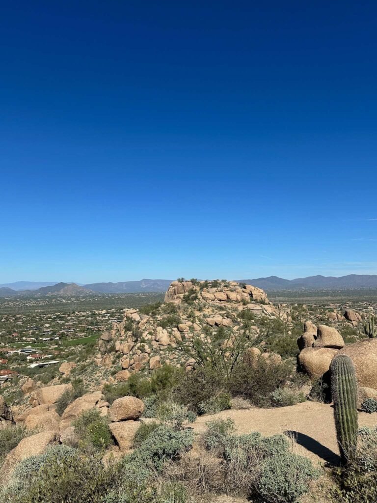 Alan-Michael Hill 48