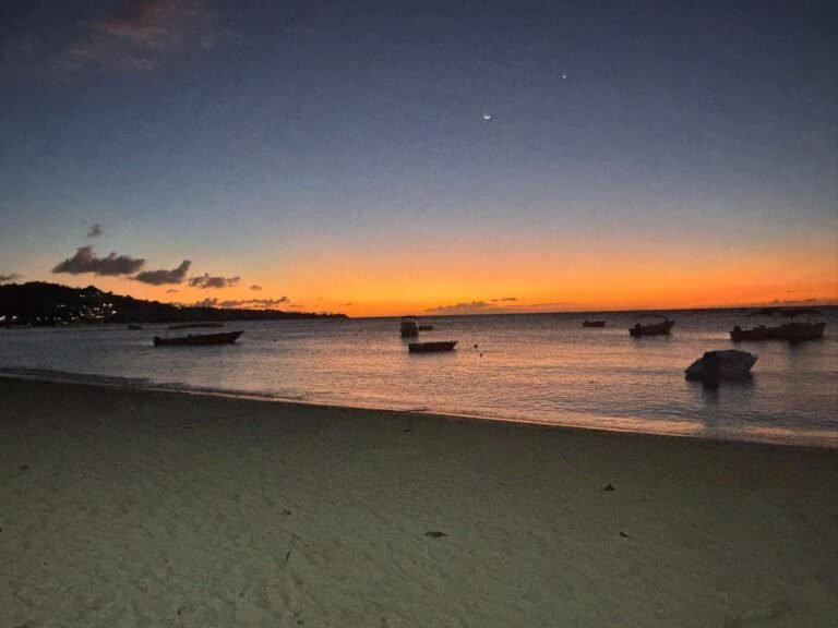 Alan-Michael Hill 67