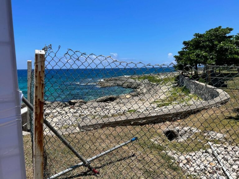 Alan-Michael Hill 83