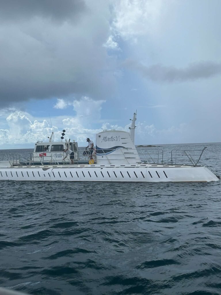 Alan-Michael Hill 88