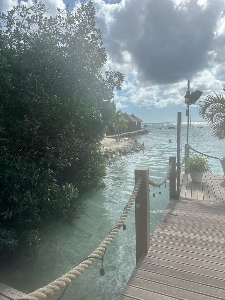 Alan-Michael Hill 90